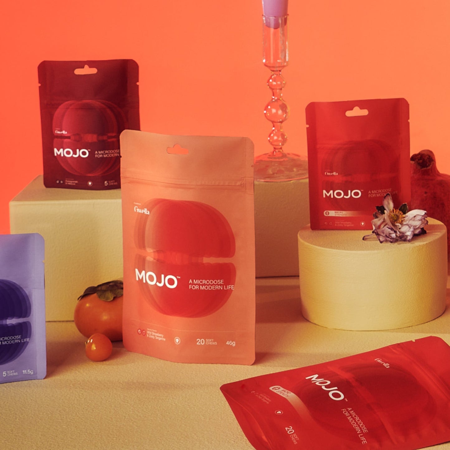 Mojo | Mushroom Dosed Gummies Brain Boost Gummies - The Starter Pack