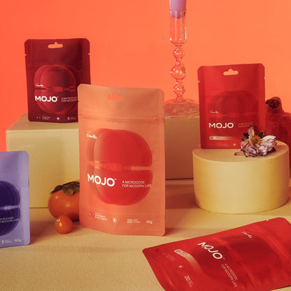 Mojo | Mushroom Dosed Gummies Brain Boost Gummies - The Starter Pack