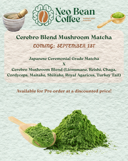 Cerebro Blend Mushroom Matcha