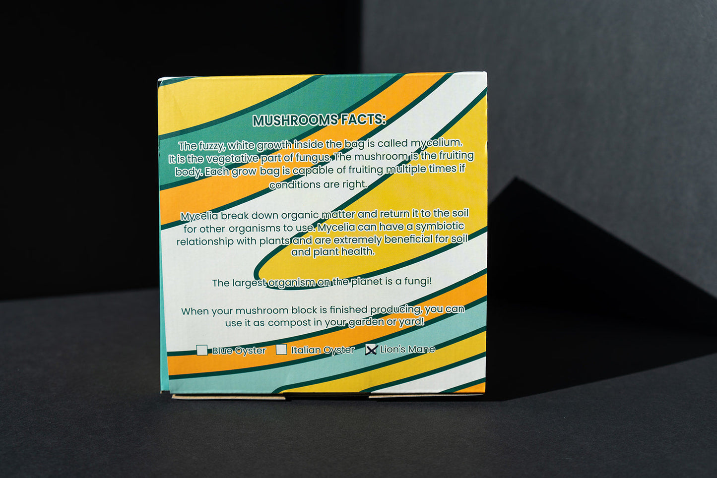 Organic Lion’s Mane Grow Kit