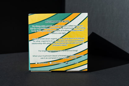 Organic Lion’s Mane Grow Kit