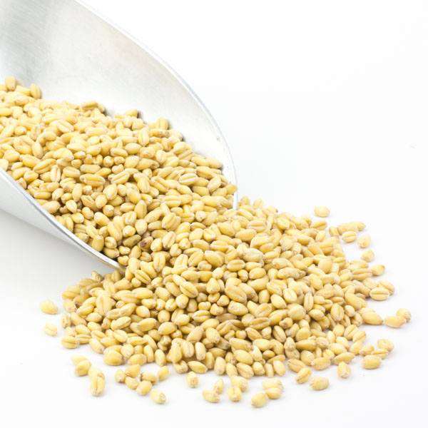Wheat Berries, Soft White, Organic