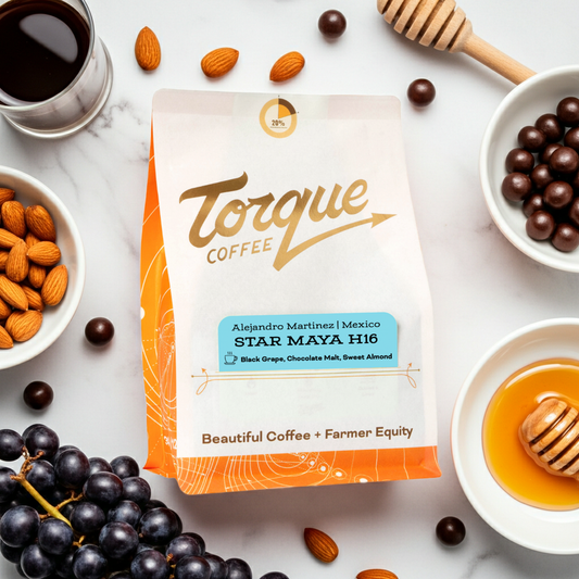 Star Maya H16 - Alejandro Martinez, Mexico