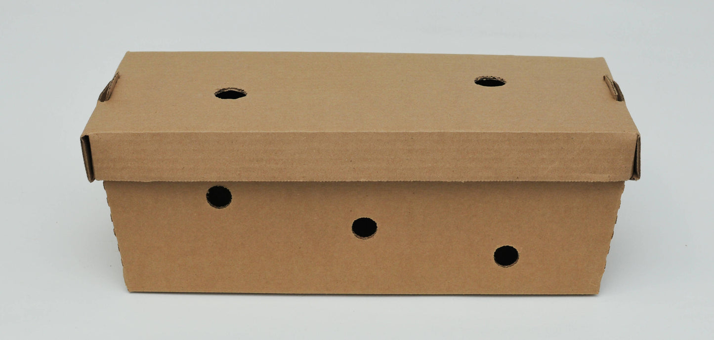 Certified Organic Exotic ShroomBox