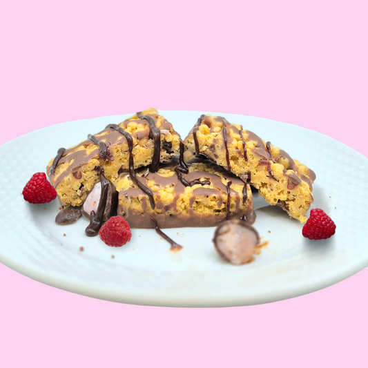 Raspberry Dark Chocolate Squares - ProtiDiet