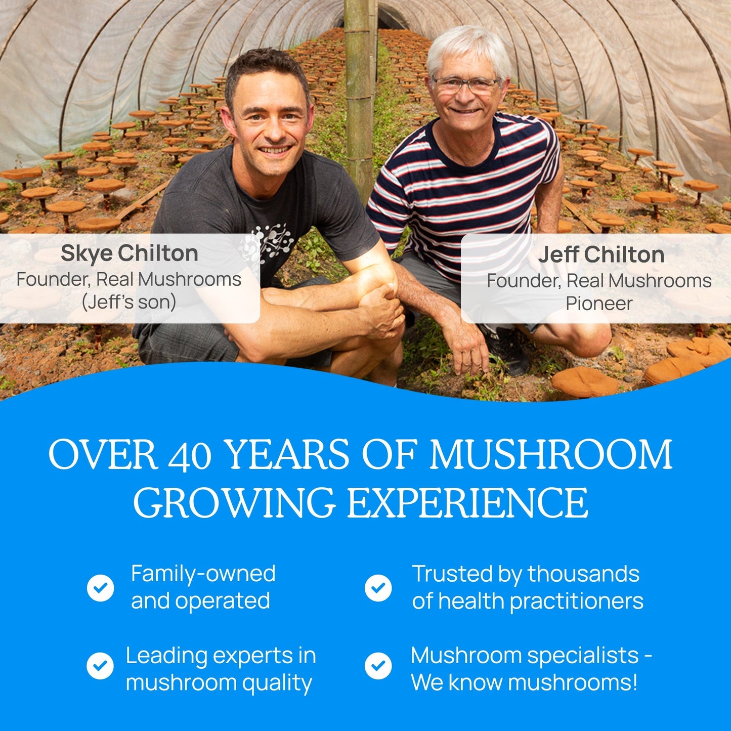 RealRest - Reishi, Valerian and Lemon Balm by Real Mushrooms