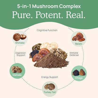 5 Defenders Organic Mushroom Complex – Bulk Powder by Real Mushrooms