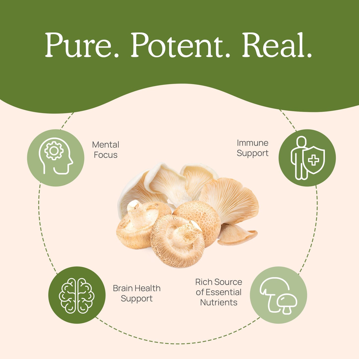 Ergo+ Ergothioneine Supplement by Real Mushrooms