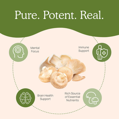 Ergo+ Ergothioneine Supplement by Real Mushrooms