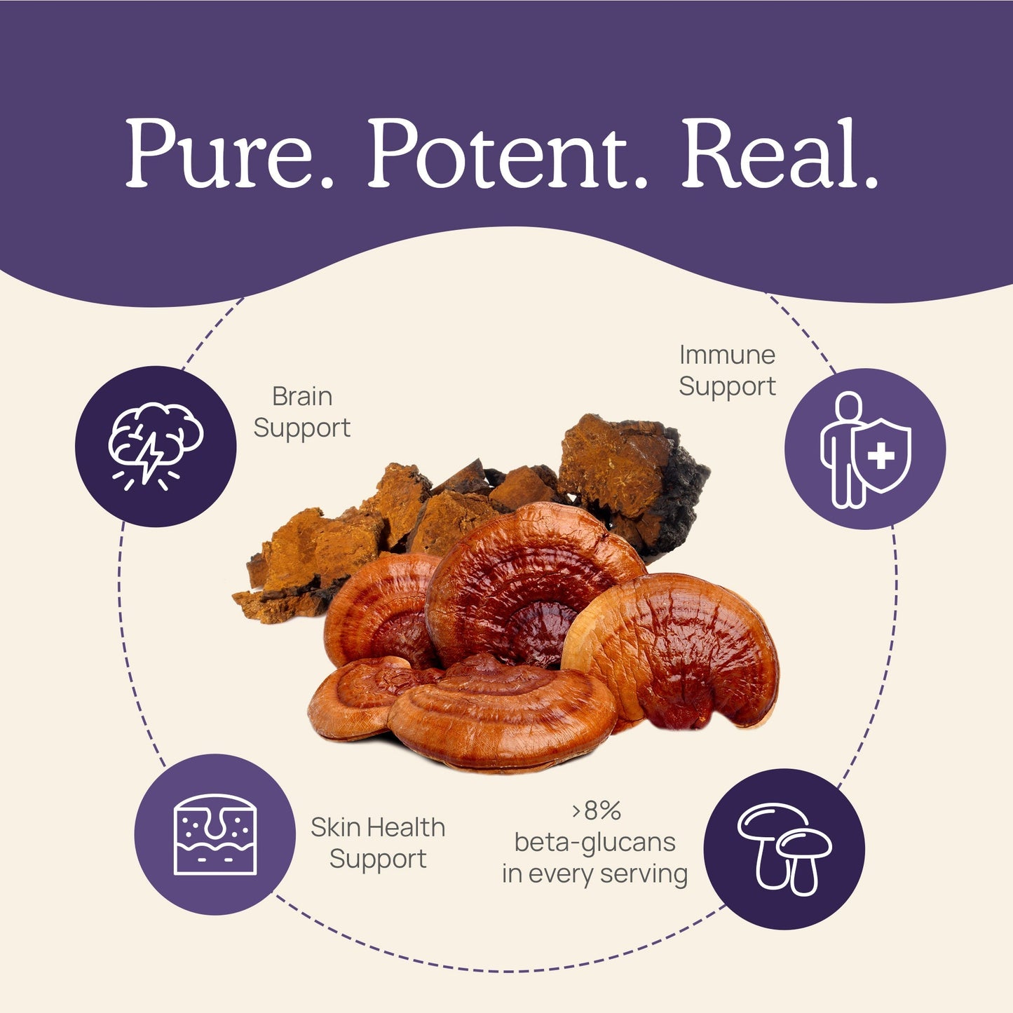 Mushroom D2Z by Real Mushrooms