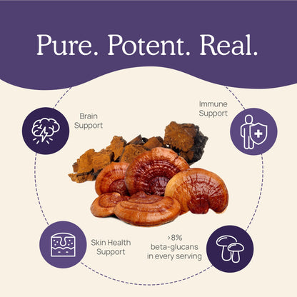 Mushroom D2Z by Real Mushrooms