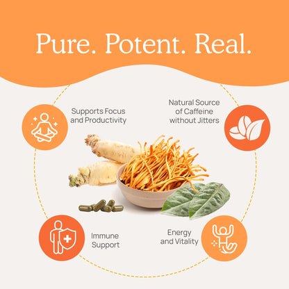 RealBoost - Cordyceps, Guayusa and Ginseng by Real Mushrooms