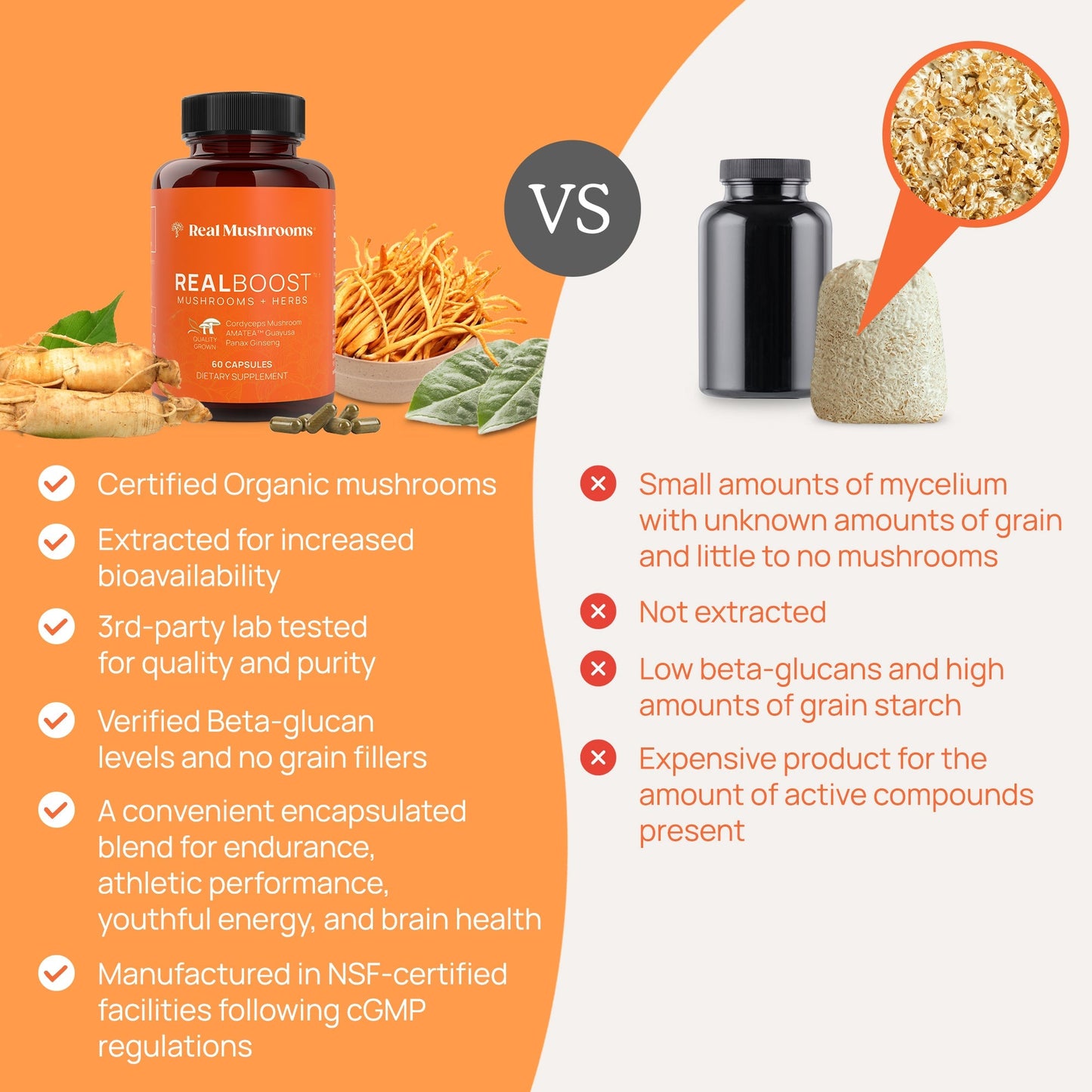 RealBoost - Cordyceps, Guayusa and Ginseng by Real Mushrooms