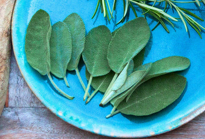 Sage Powder