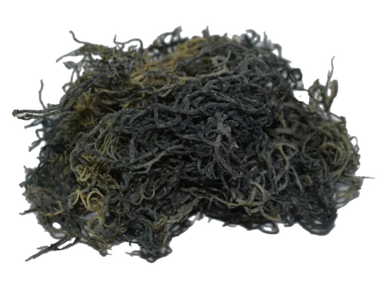Premium Green Wildcrafted Raw Sun dried Sea Moss