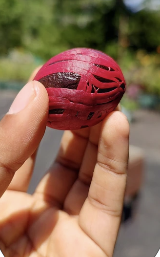 Sourcery Mace Jars - 6 Jars x 1 Case