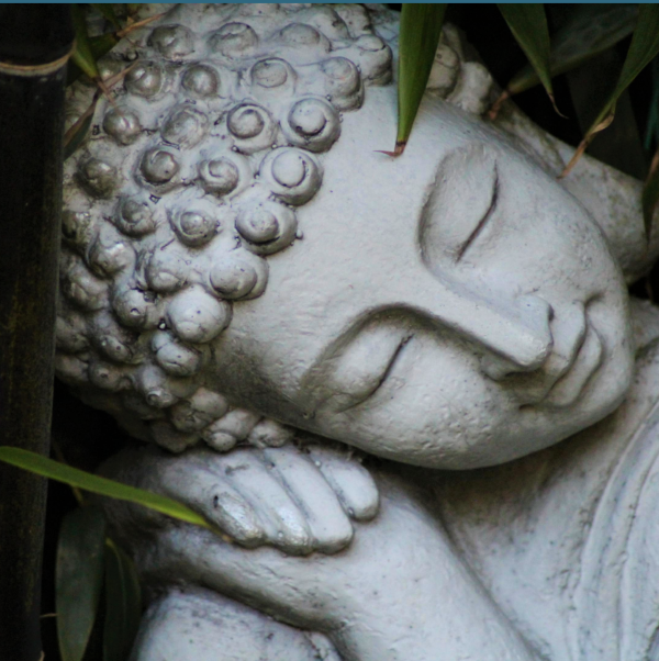 Divine Essential Sleep Oil™ – Nighttime Calm + Botanical Dream Support