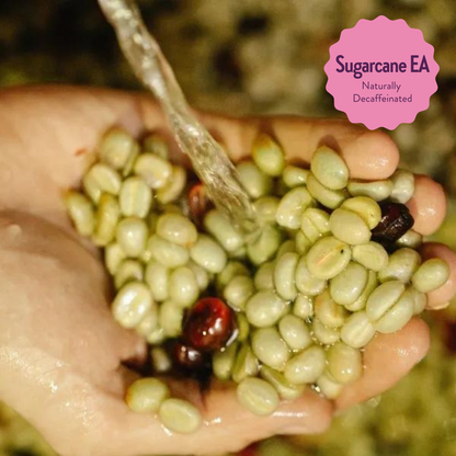 Howler | Decaf Single Origin | Colombia | Sugarcane EA Decaffeinated
