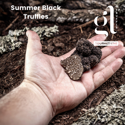 GL Truffle Gourmet, Whole Black Summer Truffle,  Preserved 35g (1.2oz)