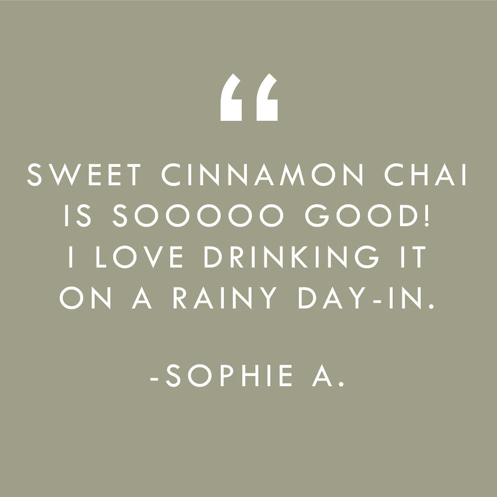 Sweet Cinnamon Chai No. 40 – Spiced Probiotic White Tea Discs