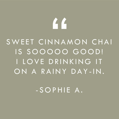 Sweet Cinnamon Chai No. 40 – Spiced Probiotic White Tea Discs