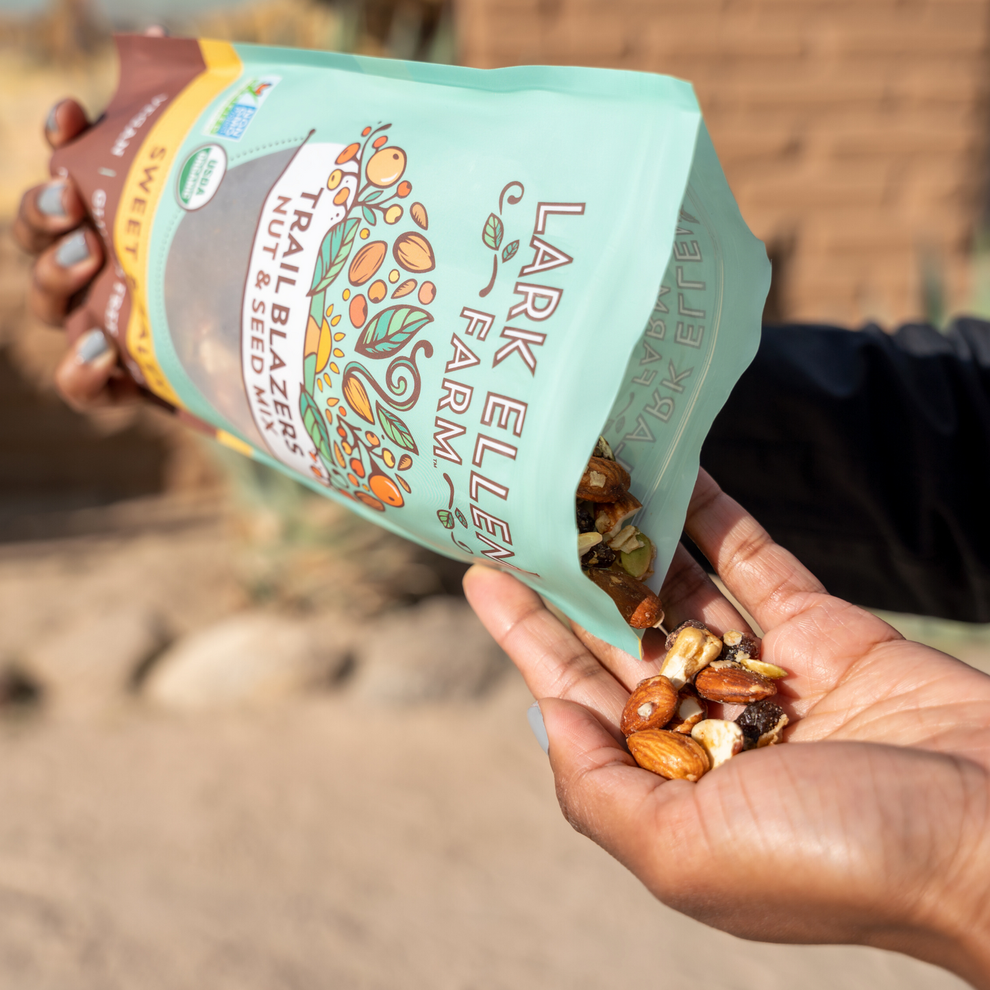 Sweet & Salty Trail Mix, Sprouted