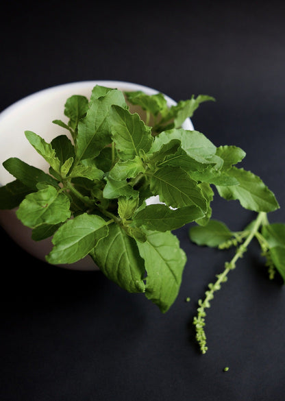 Tulsi Holy Basil Leaf, Granules
