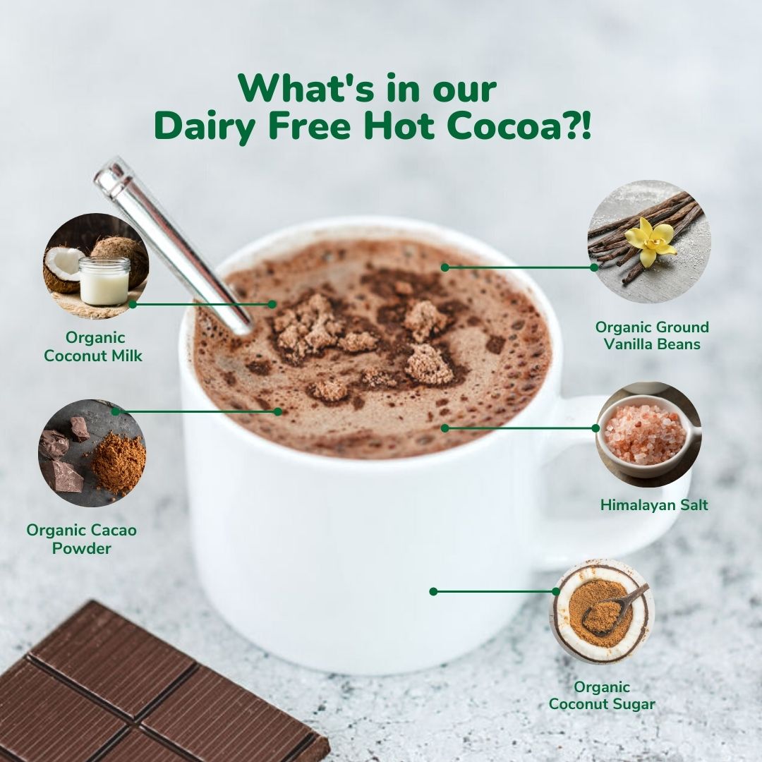Instant Dairy Free Coconut Hot Cocoa Mix  | Single Serving 5 Pack |Gluten Free, Vegan and Organic