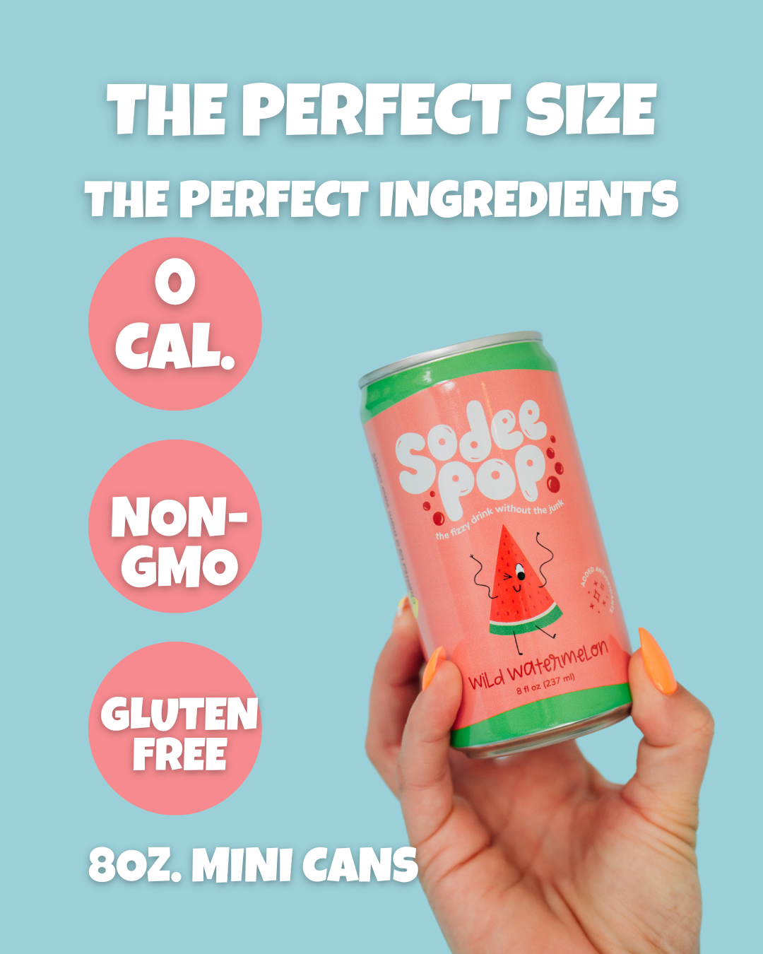 WILD WATERMELON-12 Pack