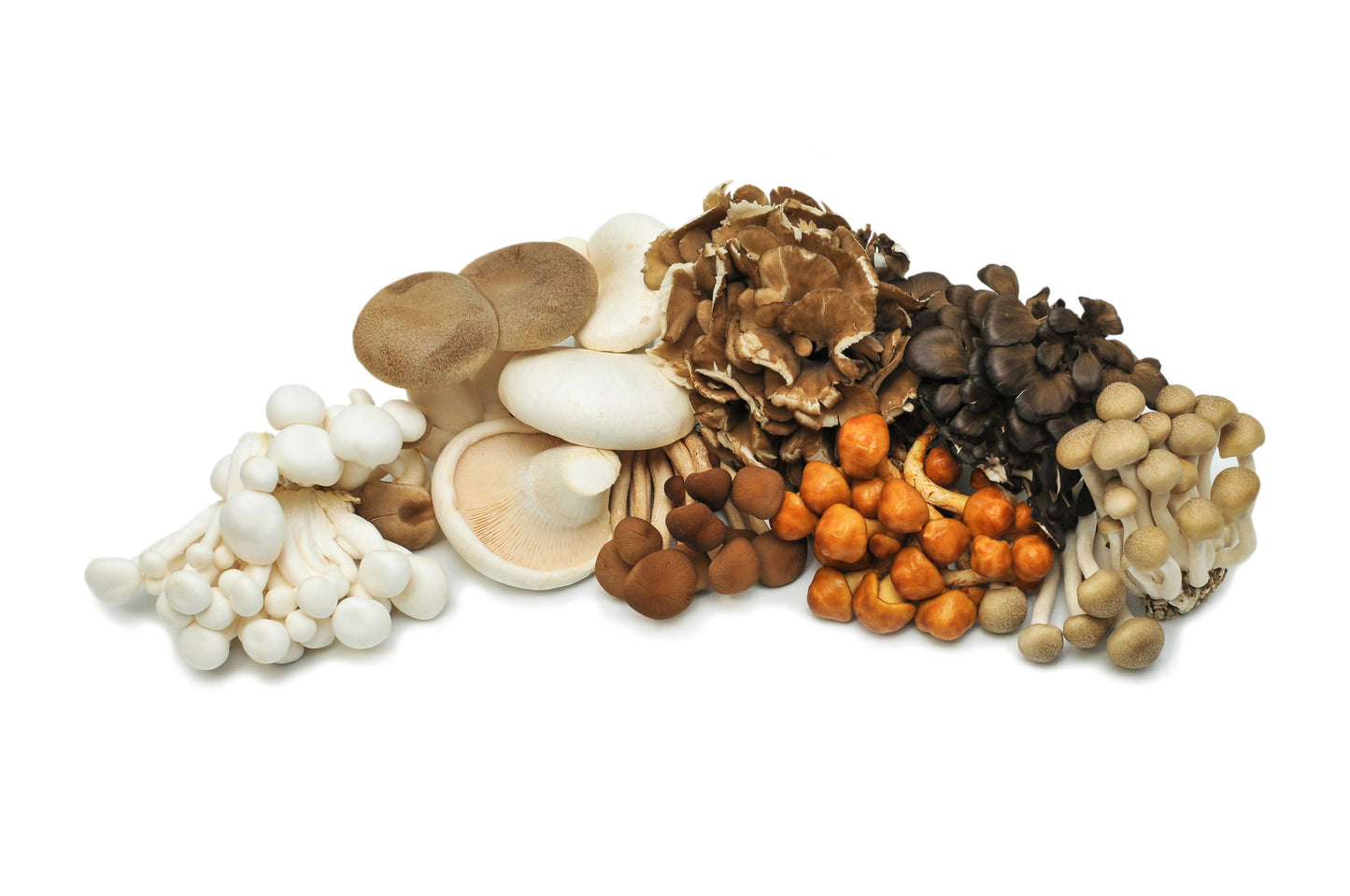 Certified Organic Exotic ShroomBox