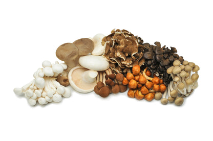 Certified Organic Exotic ShroomBox