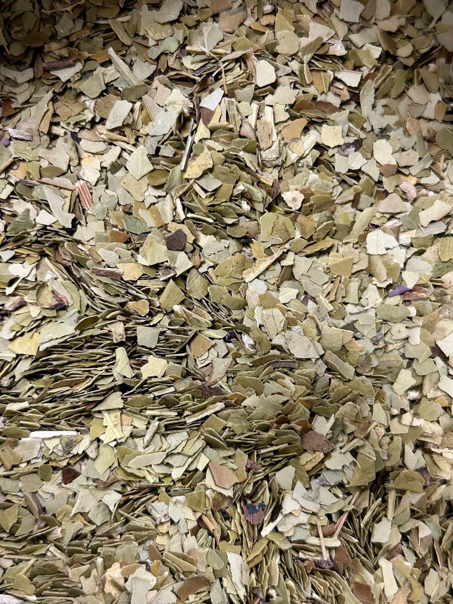 Organic Yerba Mate - 1oz