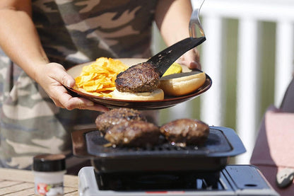 Portable Conversion Grill for Multi-Fuel and Portable Cooktops, Black, 12 X 12 X 3