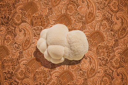 Ahara Mushrooms Golden Mane Mushroom Chai - 10 bags