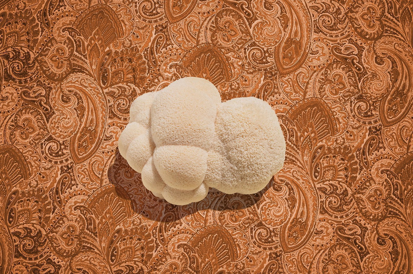 Ahara Mushrooms Golden Mane Mushroom Chai