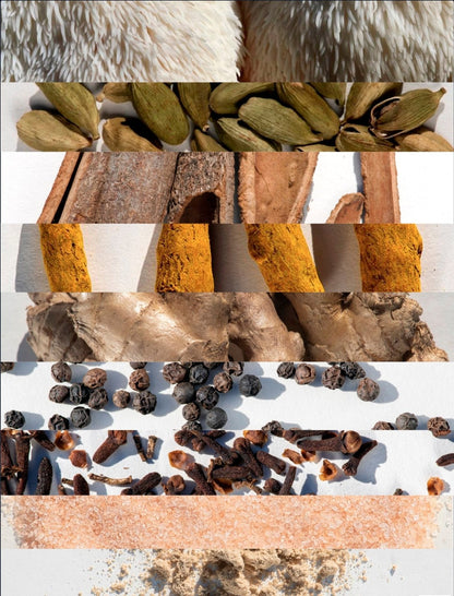 Ahara Mushrooms Golden Mane Mushroom Chai