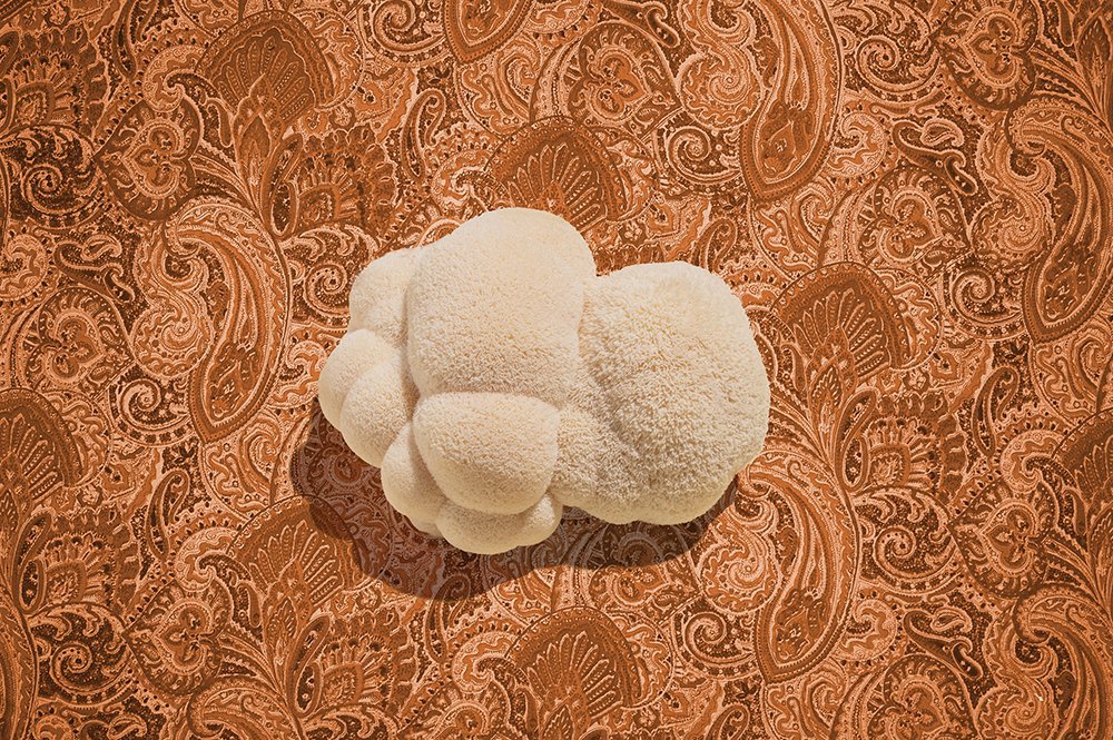 Ahara Mushrooms Lion's Mane Capsules