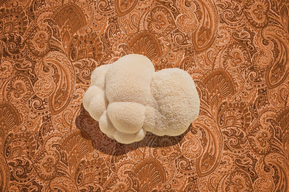 Ahara Mushrooms Lion's Mane Capsules