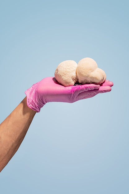 Ahara Mushrooms Lion's Mane Capsules