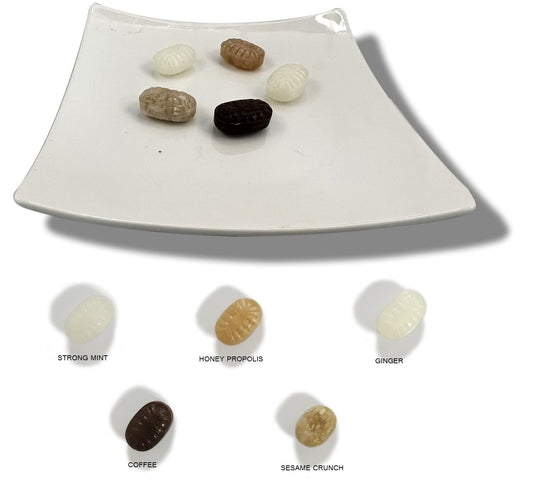 Andy Anand Sugar Free Hard Candy Variety Pack - Ginger, Coffee, Toasted Sesame, Menthol, Propolis - Stevia Sweetened - Gluten Free - | Perfect for Chocolate Lovers, Candy for Diabetics - (85 Ct 7 Oz)