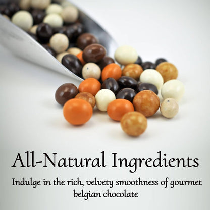 Andy Anand Espresso Coffee Chocolate – Belgian Coffee-Infused Assortment of 5 Flavors, 1 lb Gift Box of Decadent Treats Made with 60% Chocolate (Cocoa Butter)