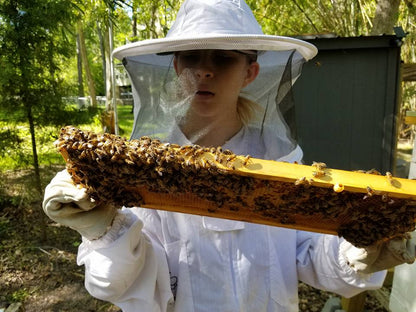 Raw Honey 10oz  Gallberry