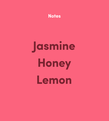 Bean & Bean Coffee Roasters Ethiopia Sidamo