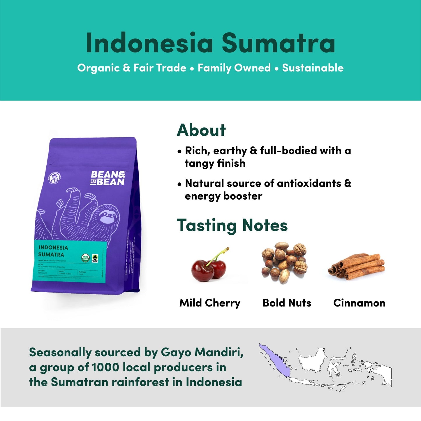 Bean & Bean Coffee Roasters Indonesia Sumatra Coffee
