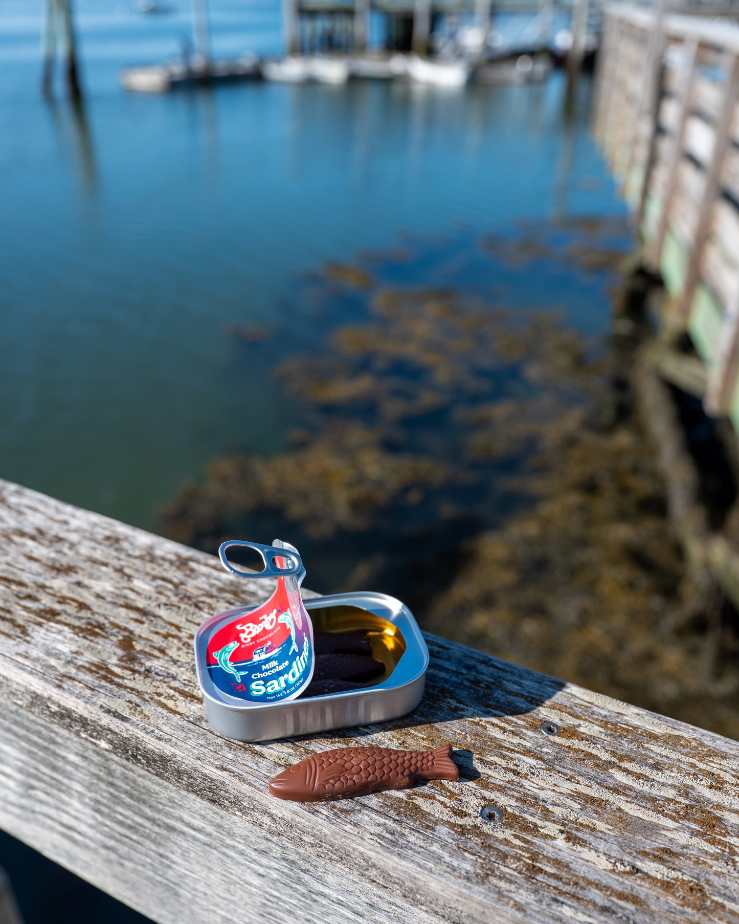 Chocolate Sardines, Tinned