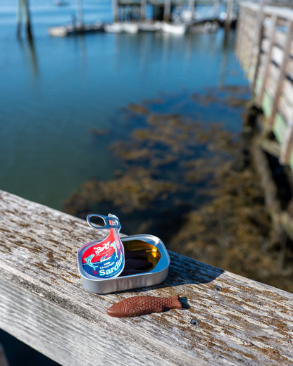 Chocolate Sardines, Tinned