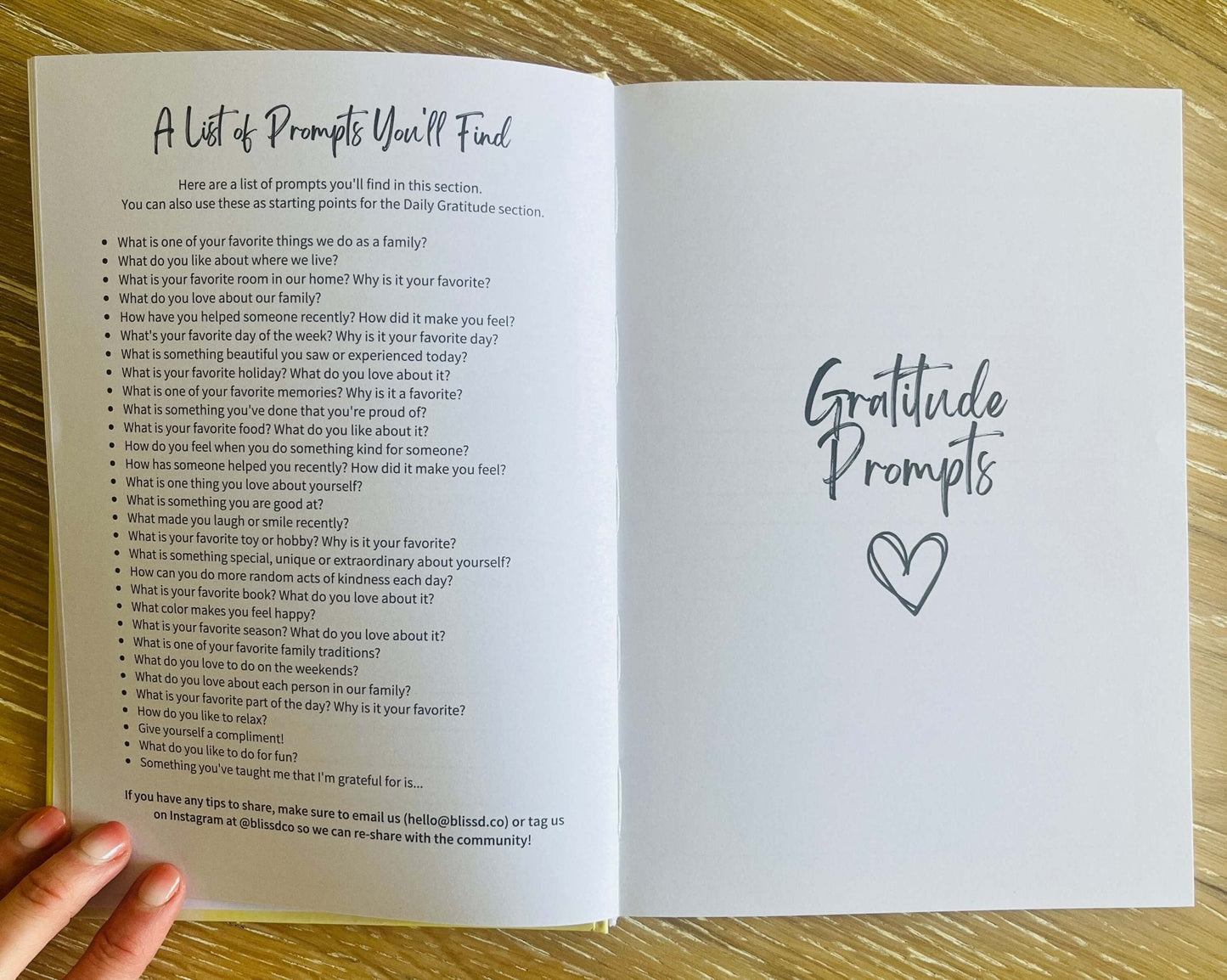 Bliss'd Co We're So Grateful: A Family Journal