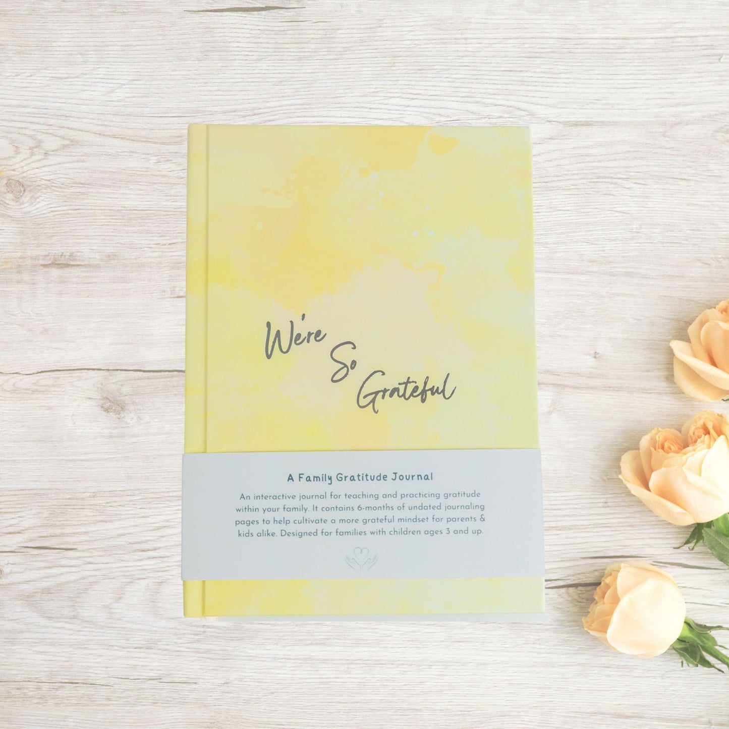 Bliss'd Co We're So Grateful: A Family Journal
