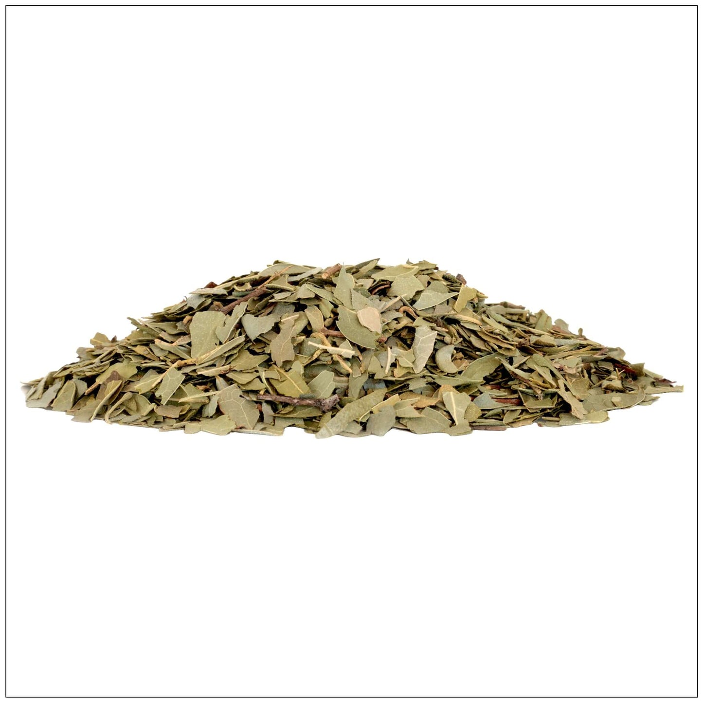 Boldo Leaf