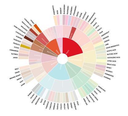 Medium Roast - Work Life Balance